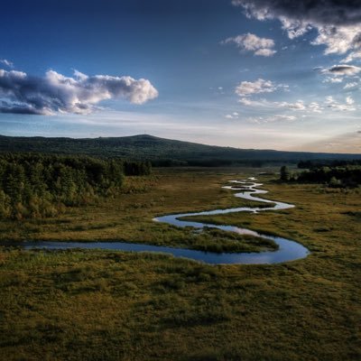 Profile Picture of Lori Relf (@positivenh2) on Twitter