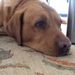 Profile Picture of Janet Simpson (@simpsonjanet) on Pinterest