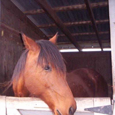 Vivian Richard - Twitter Profile Picture of Vivian Richard (@richardvivian12) on Twitter