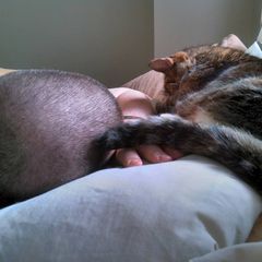 Profile Picture of James Brogan (@user1525020493874) on Tiktok