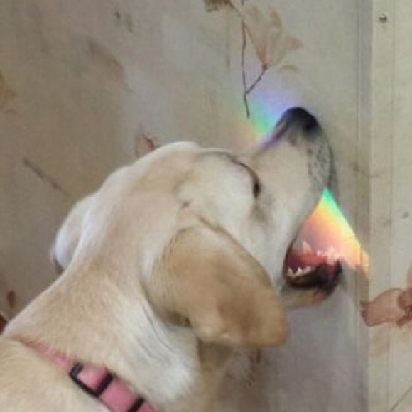 Aleksandra Szymanska - Poshmark Profile Picture of Aleksandra Szymanska (@sw33t3ug) on Poshmark