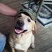 Profile Picture of James Merkel (@james.merkel.127) on Facebook