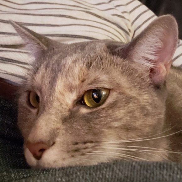 Profile Picture of Steven Landgraf (@max_power) on Poshmark