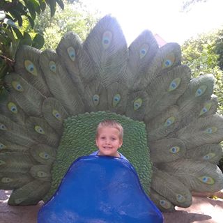 Profile Picture of Forrest Shannon (@forrest.shannon.583) on Facebook