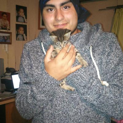 Profile Picture of Alexis Claudio Perez (@07_alexcolo) on Twitter