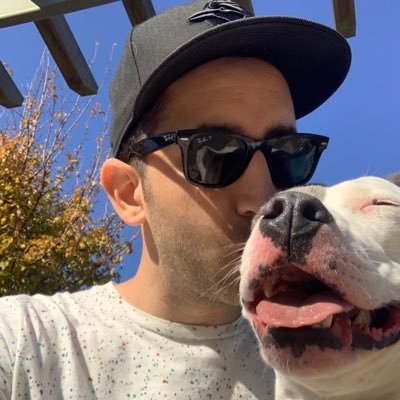 Profile Picture of Pedram (@Pedram_Navid) on Twitter