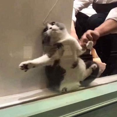 Profile Picture of Zayar Htet Win (@zy_h_w) on Twitter