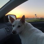 Profile Picture of Joni Fosnight (@fosnightjoni) on Instagram