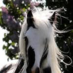 Profile Picture of Dewayne Keithley (@dewayne.keithley) on Facebook