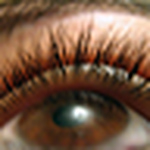 Profile Picture of Daniela Rodrigues (@dr-angel) on Flickr