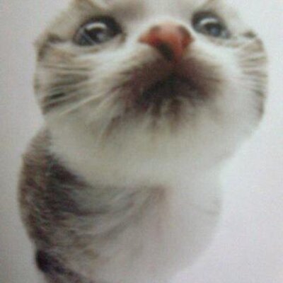 Profile Picture of Kyle Robert (@keLoyDsz) on Twitter