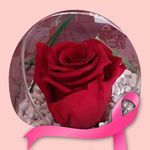 Profile Picture of Stephanie Kyllogtim (@kyllogtim36) on Instagram
