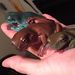 Profile Picture of Sean Gates (@gates4565) on Pinterest