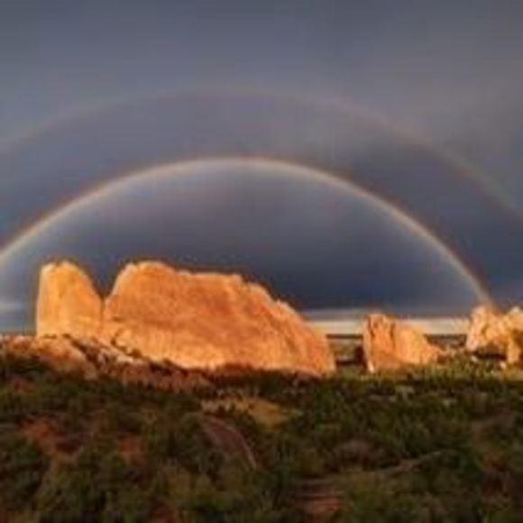 Profile Picture of Sue Dysart (@sdysart68) on Poshmark