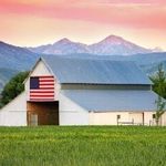 Profile Picture of Tammy Neves (@tmmynvs) on Instagram