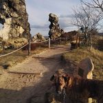 Profile Picture of Mäuse Zahn (@hundemama2401) on Instagram