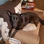 Profile Picture of Lora Potts (@stainless.potts) on Instagram