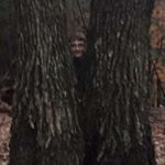 Profile Picture of Nathaniel Childress (@nathaniel.childress) on Instagram