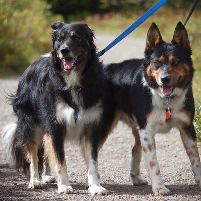 Profile Picture of Kendra (@KendraKareBear) on Twitter