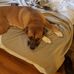 Profile Picture of Carl Schueller (@carl.schueller.75) on Facebook