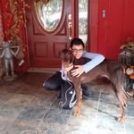 Profile Picture of Nick Grammenos (@pgb_nick) on Instagram