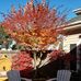 Profile Picture of Peter Enright (@peter.enright.7161) on Facebook