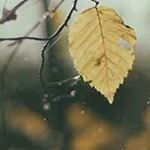 Profile Picture of Sandra Fredrickson (@fredricksonsandra1961) on Instagram