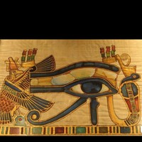 Janine Viechweg - Quora Profile Picture of Janine Viechweg (@janine-viechweg) on Quora