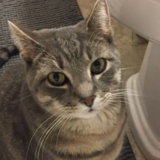 Profile Picture of Wanda Lynn (@wanda.lynn.1004) on Facebook