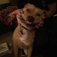 Profile Picture of Jonathan Duncan (@jonathan-duncan-30) on Quora