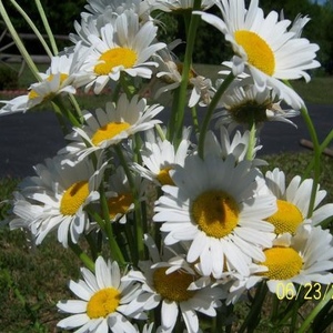 Profile Picture of Debbie Bannister (@288280429) on Myspace