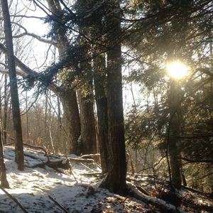 Profile Picture of Rock Marshall (@marsrock69) on Myspace