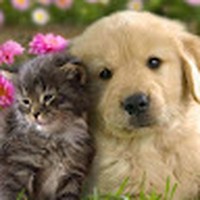 Profile Picture of Ann Brett (@ann-brett-9) on Quora