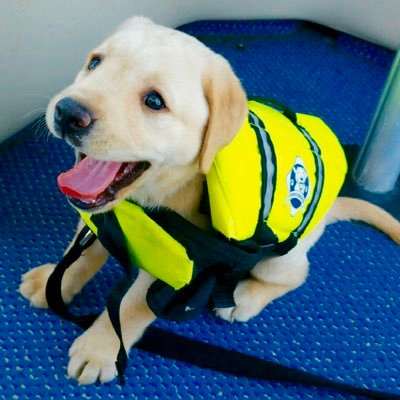 Profile Picture of Christopher Saez (@Christo59430142) on Twitter