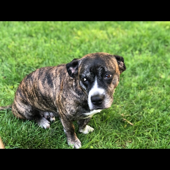 Profile Picture of Will Hogan (@buyingnow11) on Poshmark