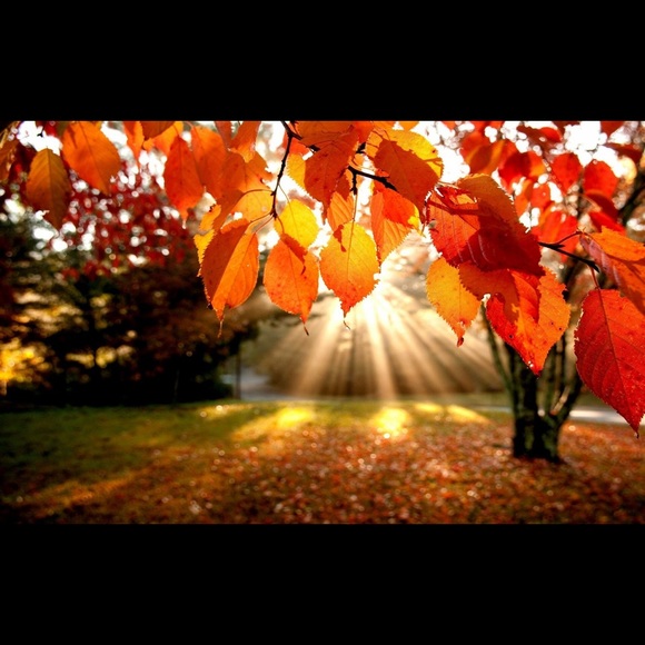 Profile Picture of Ariana Lugo (@_ariianna2) on Poshmark