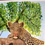 Profile Picture of John Boxall (@John-Boxall) on Facebook