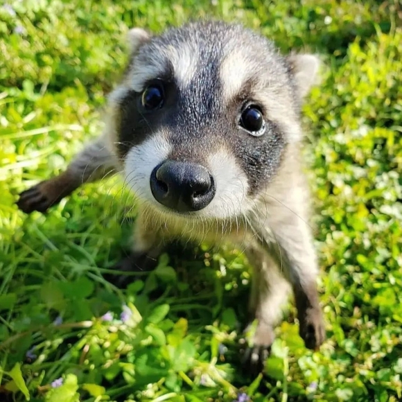 Nino Zielisko - Poshmark Profile Picture of Nino Zielisko (@nozsko) on Poshmark