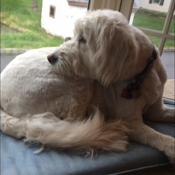 Profile Picture of Hope Simpson (@hopefran) on Poshmark