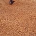 Profile Picture of Halaapiapi Havea (@halaapiapih) on Pinterest