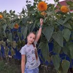 Profile Picture of Елена Дерикошма (@elenaderikoshma) on Instagram