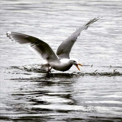 Profile Picture of Jon Breeze (@JonathanBreezee) on Twitter