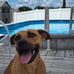 Profile Picture of Mark Gieseman (@mark.gieseman) on Facebook