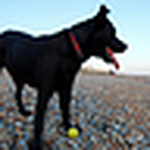 Profile Picture of Leonard Von Savage (@len da dawg) on Flickr