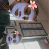 Profile Picture of 𝐸𝑙𝑠𝑖𝑒 & 𝐹𝑟𝑎𝑛𝑘𝑖𝑒 (@elsie._.frankie) on Tiktok