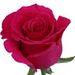 Profile Picture of Cheyanne Manning (@cheyanne2959) on Pinterest