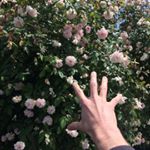 Profile Picture of Drew Bradshaw (@andrew.m.bradshaw) on Instagram