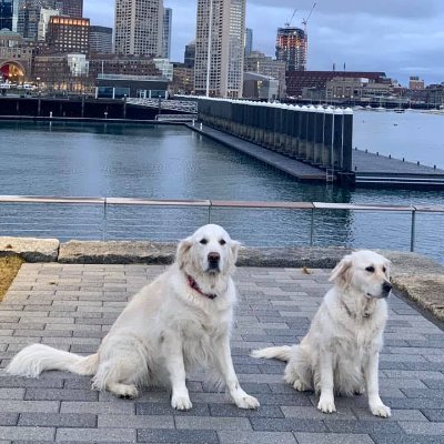 Profile Picture of James Dalberth (@jddalberth) on Twitter