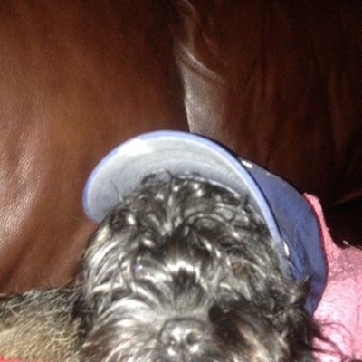 Profile Picture of Bob Wozniak Realtor (@bob_wozniak) on Twitter