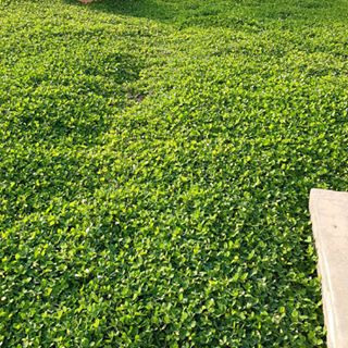 Alexis Silva - Facebook Profile Picture of Alexis Silva (@Alexis-Silva) on Facebook